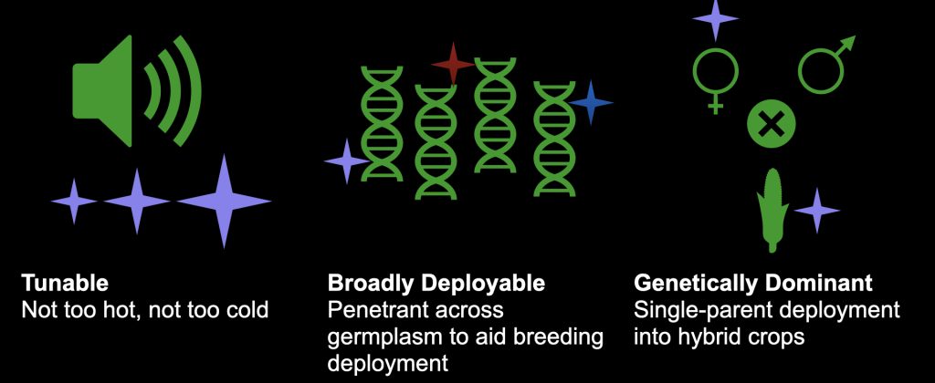 aspects of gene edit allele design