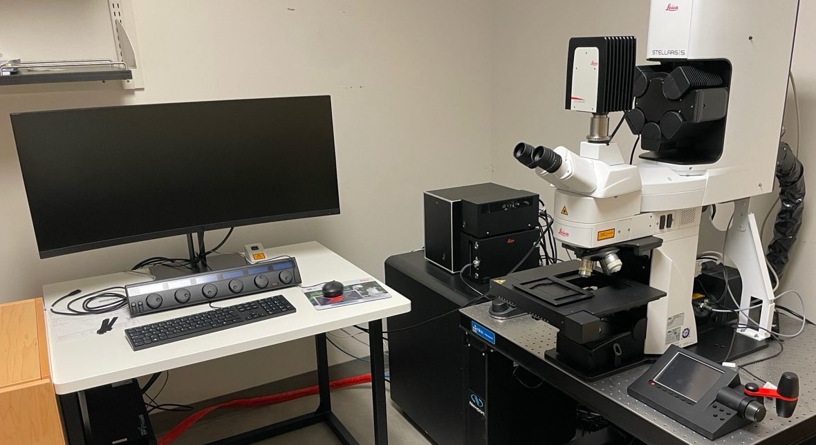 confocal microscope